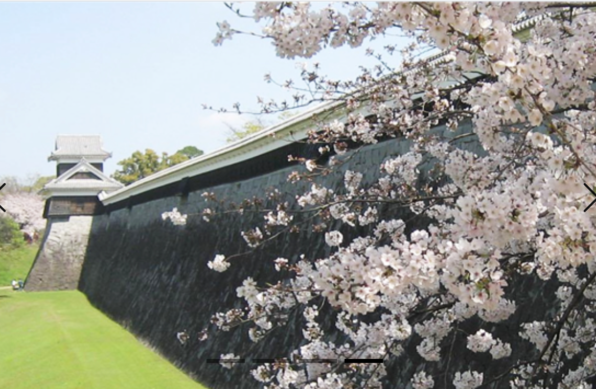 큐슈관광(아소,후쿠오카,사가,야나가와,구마모토)3박4일 - 이미지 3/3